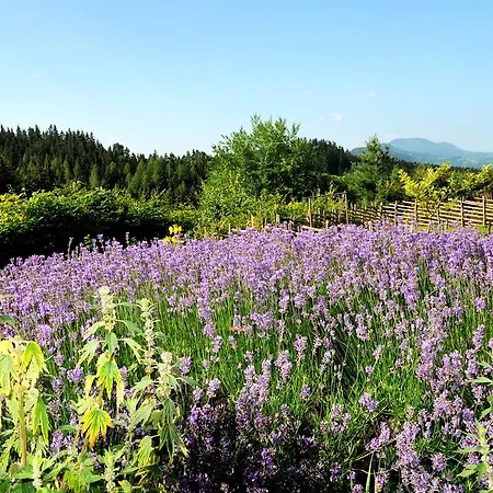 Sulamith Mit Garten