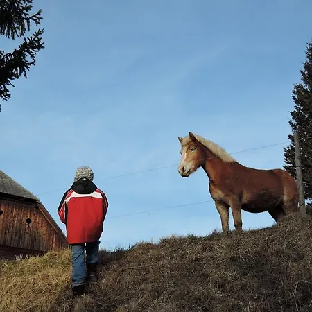 Feriehus Sulamith Mit Garten