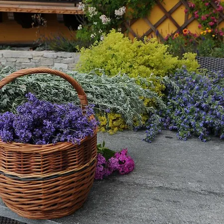 Sulamith Mit Garten Санкт-Катрайн-ам-Оффенэгг