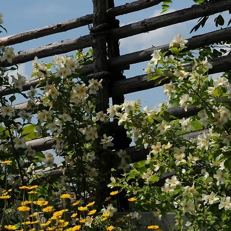 Sulamith Mit Garten Vakantiehuis