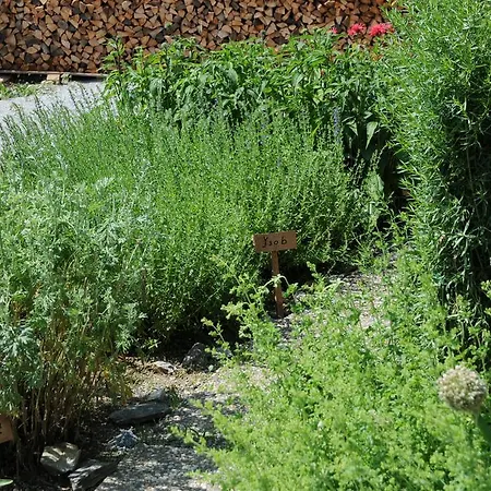 Sulamith Mit Garten *