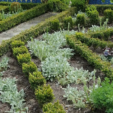 Vakantiehuis Sulamith Mit Garten