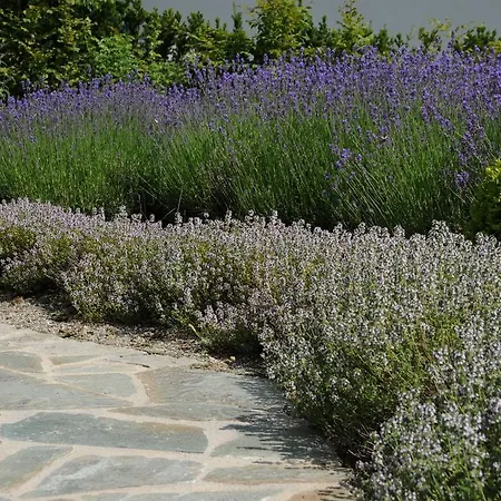 Sulamith Mit Garten * Sankt Kathrein am Offenegg