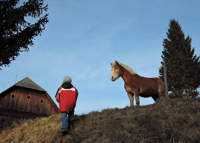 Дом отдыха Sulamith Mit Garten