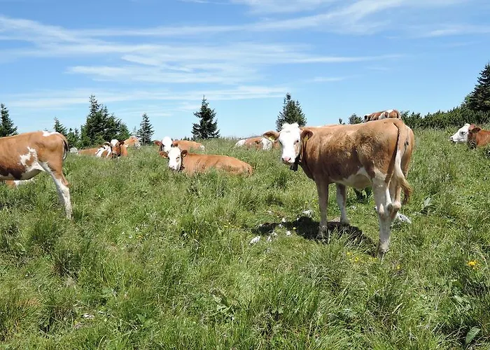 Sulamith Mit Garten *