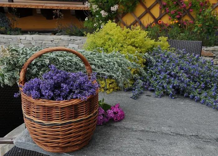 Sulamith Mit Garten Санкт-Катрайн-ам-Оффенэгг