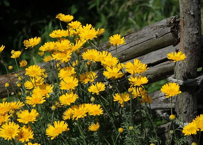 بيت للعطل Sulamith Mit Garten *