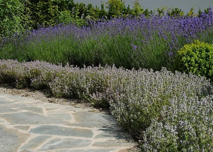 Sulamith Mit Garten * سانكت كاثرين ام اوفينيغ