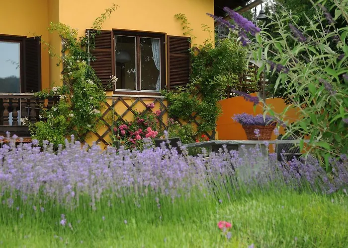 Sulamith Mit Garten بيت للعطل سانكت كاثرين ام اوفينيغ