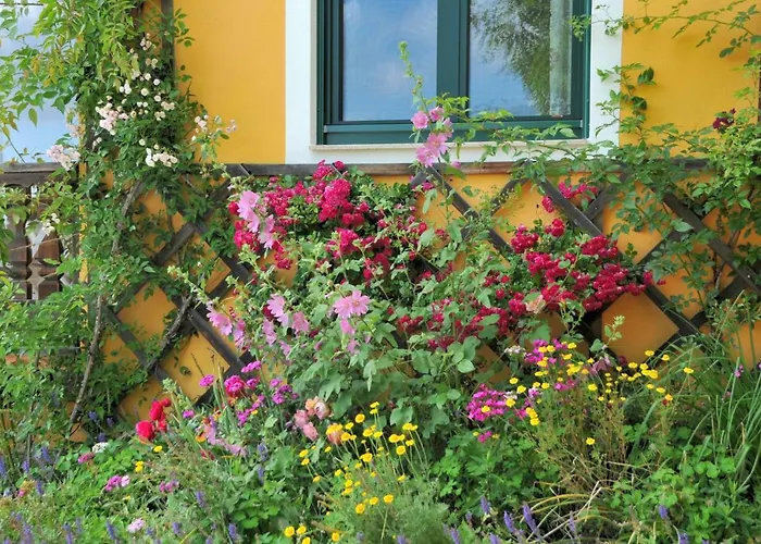 Sulamith Mit Garten سانكت كاثرين ام اوفينيغ